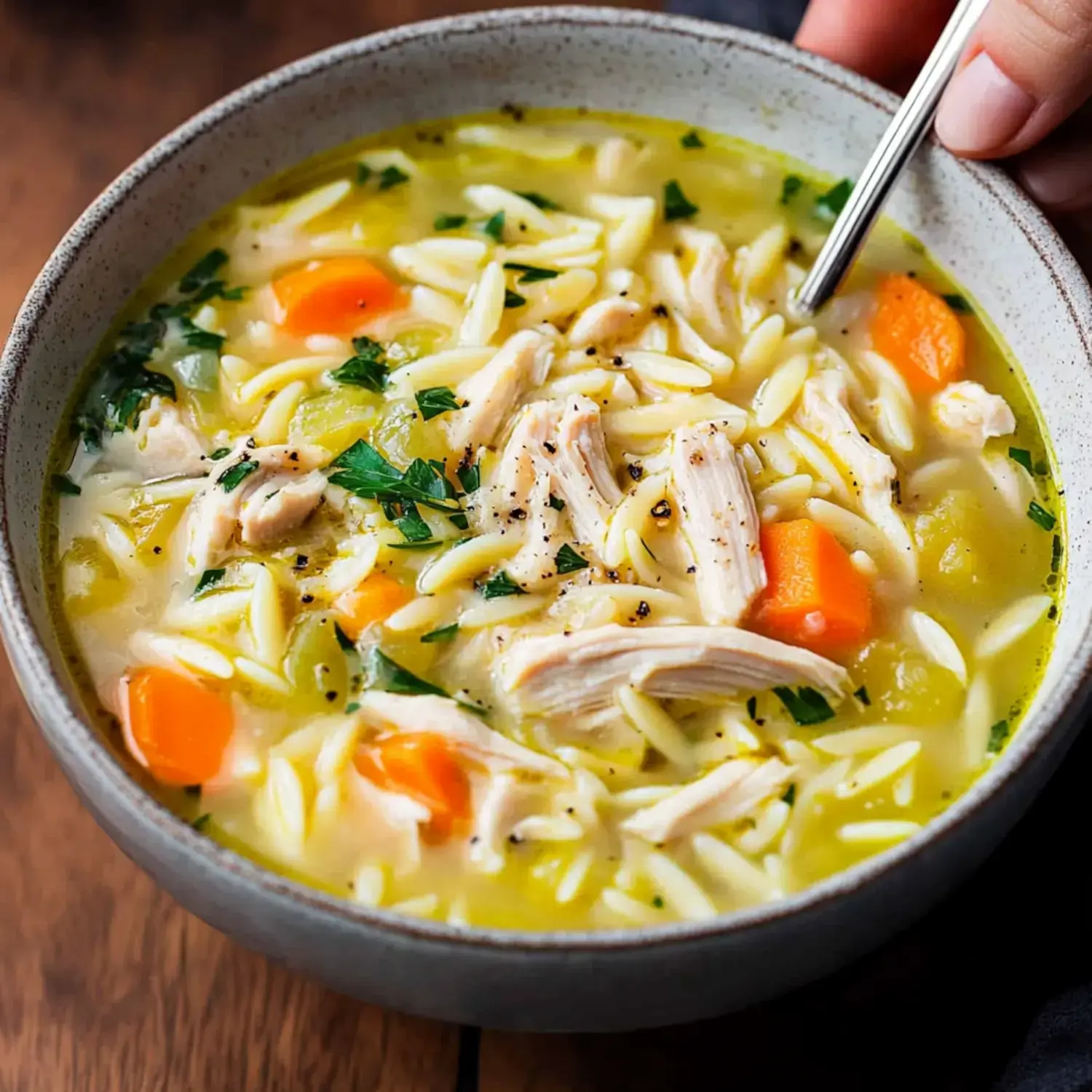 A bowl of chicken and orzo soup, garnished with parsley and containing shredded chicken, carrots, and celery in a savory broth.