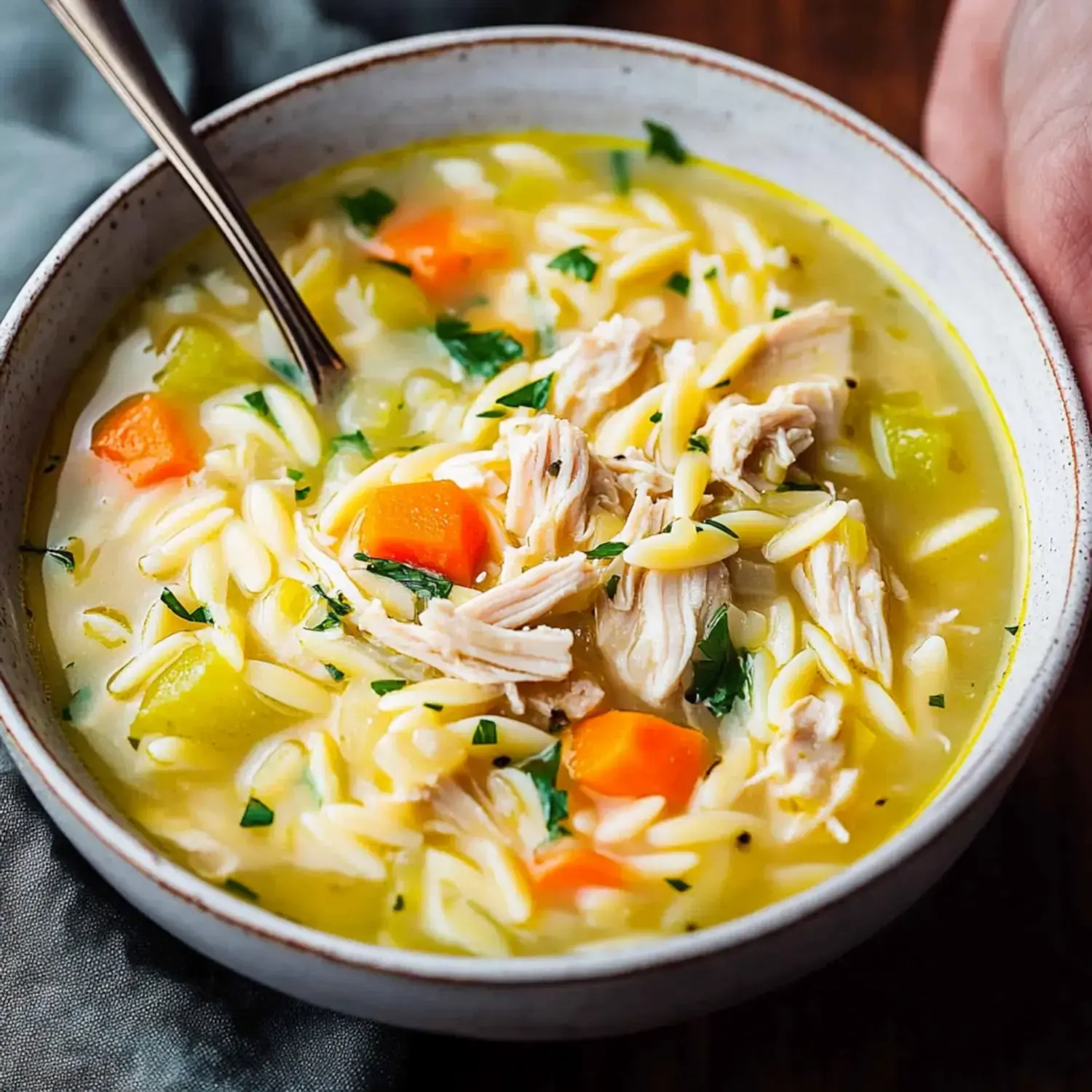 A bowl of chicken orzo soup with shredded chicken, diced carrots, and green vegetables, garnished with fresh parsley.